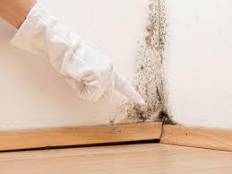 Best Emergency Mold Remediation  in Lucerne, CA